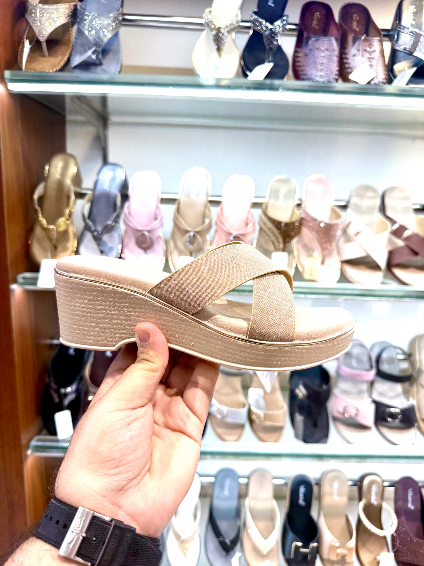 VELORINA X MODEL GOLD